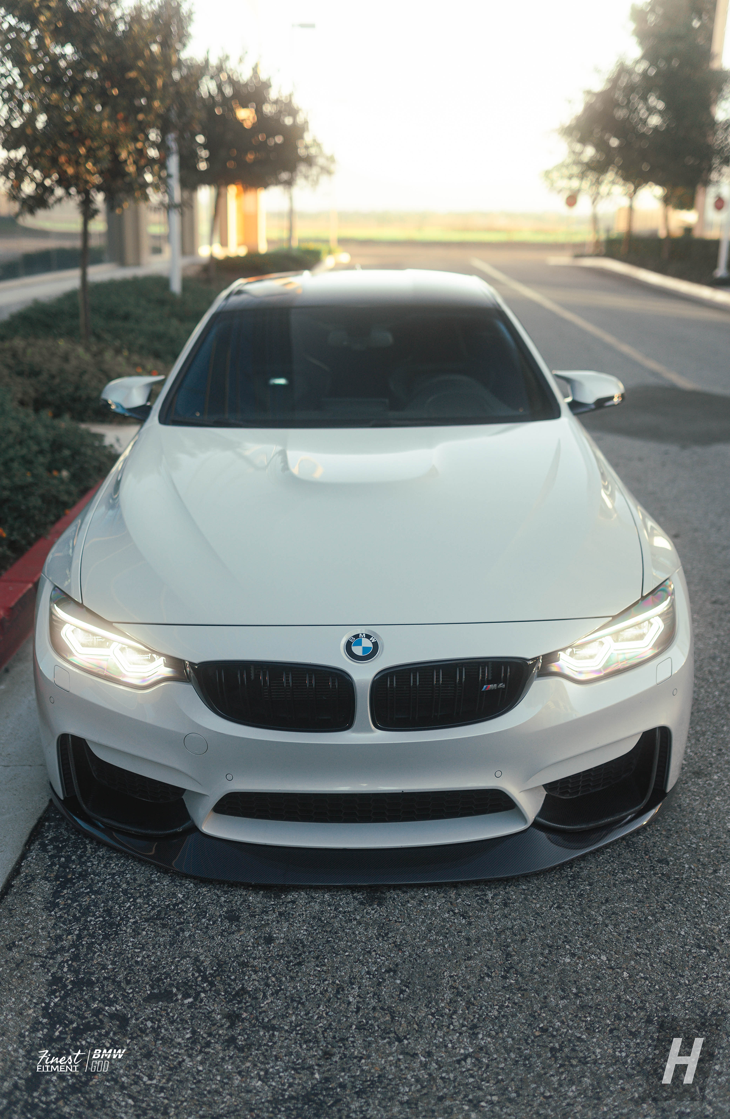 DB1 V2 Carbon Fiber Front Lip - F80 M3 | F82 / F83 M4