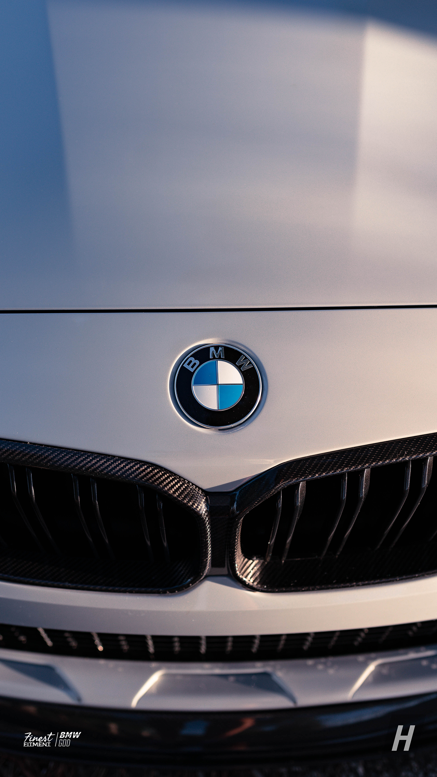 Performance V1 Carbon Fiber Kidney Grill Cover - F87 M2C