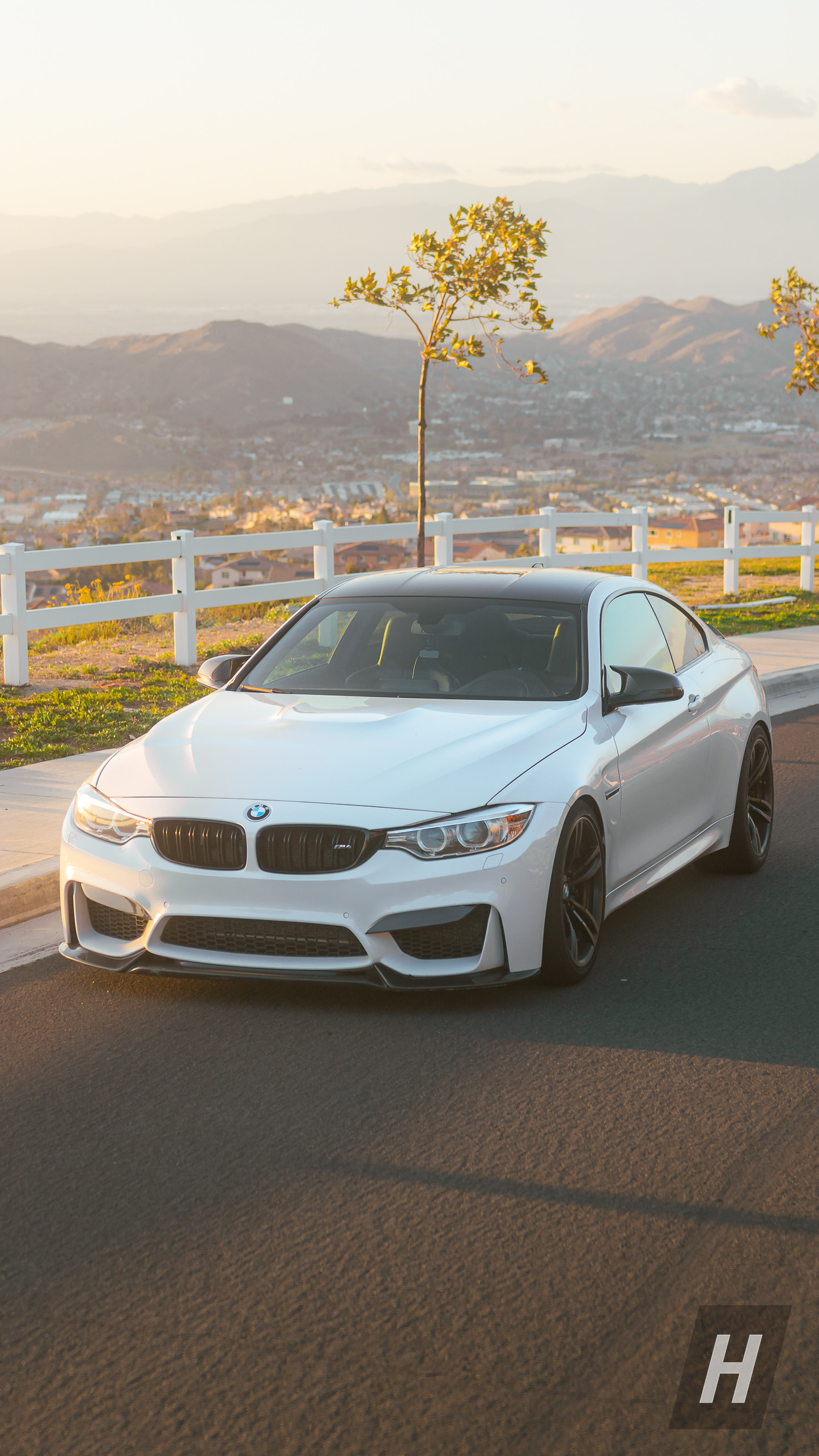 Varis Style Carbon Fiber Front Lip - F80 M3 | F82 / F83 M4