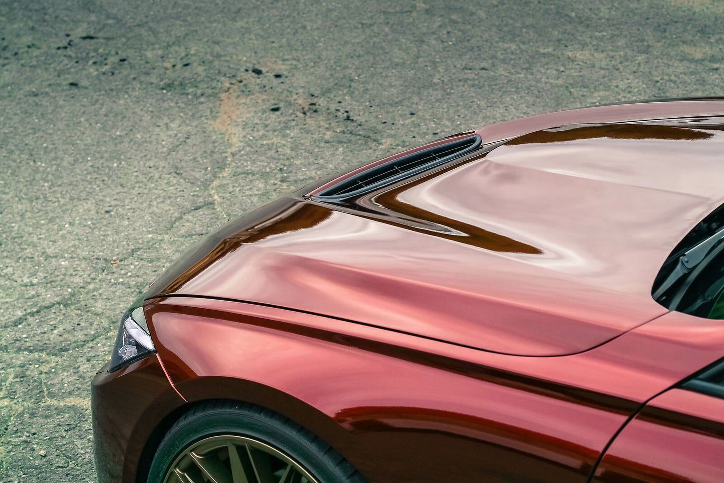 F30 GTS / CS STYLE ALUMINUM HOOD - F30/F31 3-SERIES | F32/F36 4-SERIES